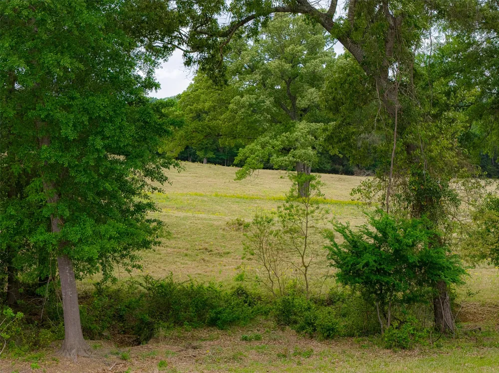 CR 1615 Jacksonville, TX 75766
