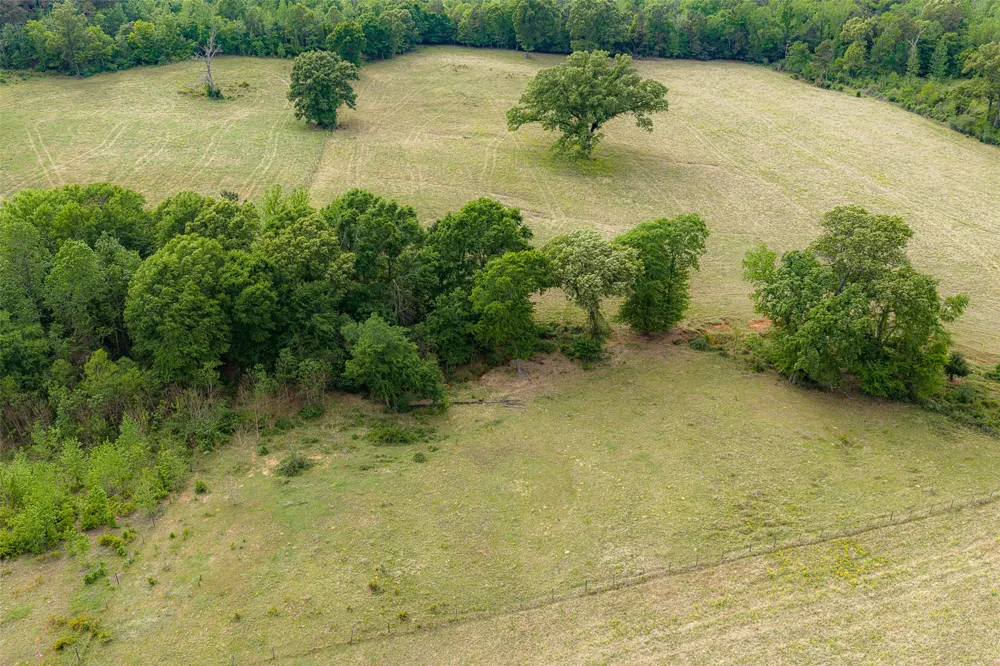 CR 1615 Jacksonville, TX 75766