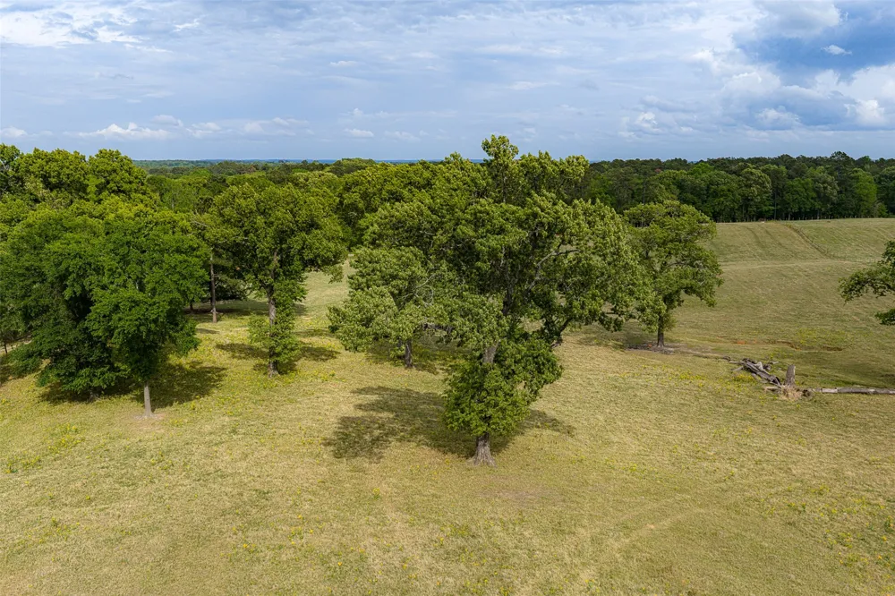 CR 1615 Jacksonville, TX 75766