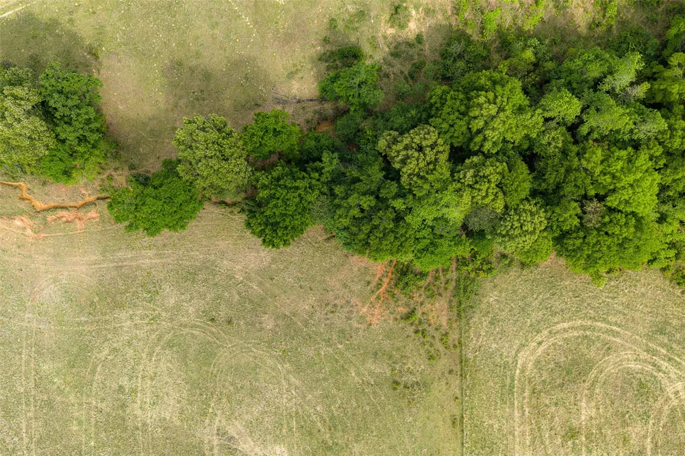 CR 1615 Jacksonville, TX 75766
