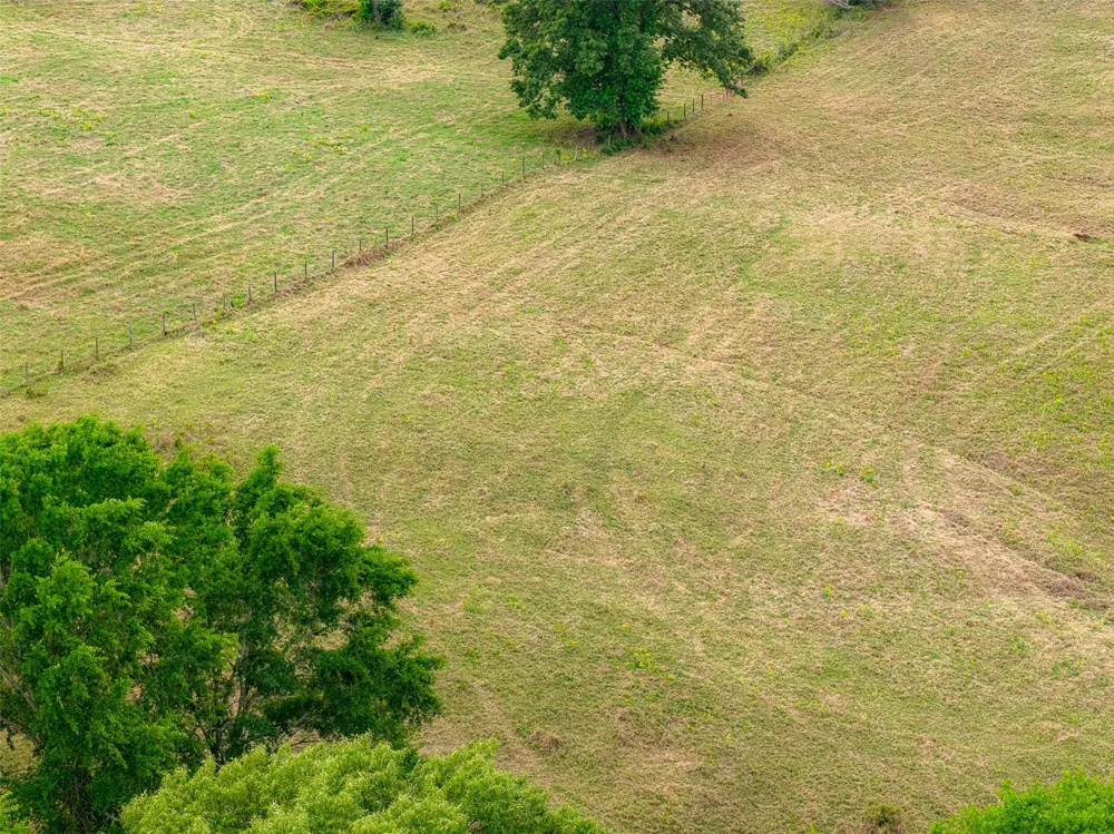 CR 1615 Jacksonville, TX 75766