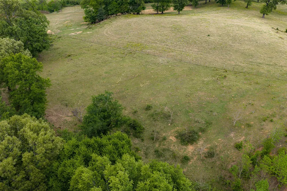 CR 1615 Jacksonville, TX 75766