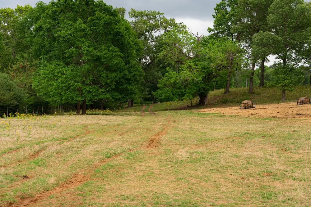CR 1615 Jacksonville, TX 75766