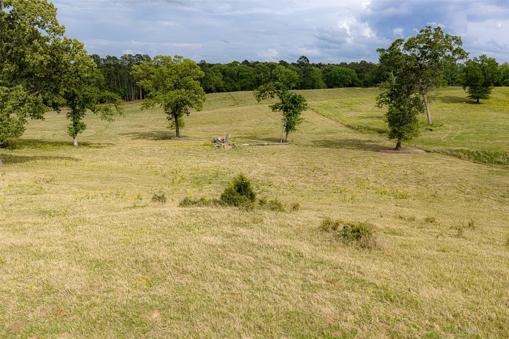 CR 1615 Jacksonville, TX 75766