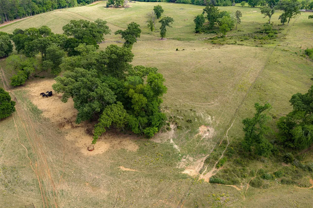 CR 1615 Jacksonville, TX 75766