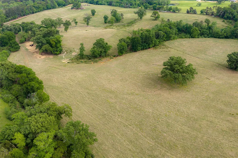 CR 1615 Jacksonville, TX 75766