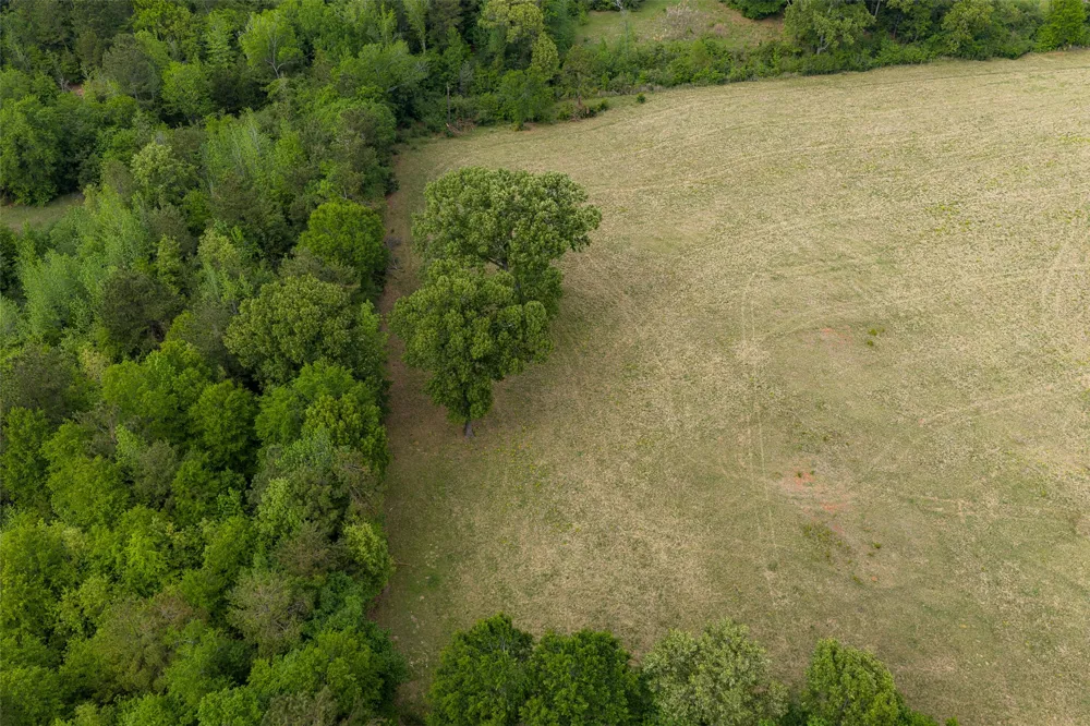CR 1615 Jacksonville, TX 75766