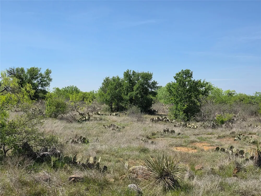 3925 County Road 216 San Saba, TX 76877