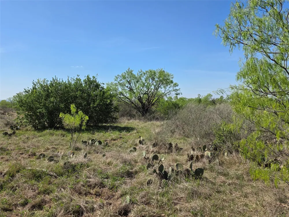 3925 County Road 216 San Saba, TX 76877