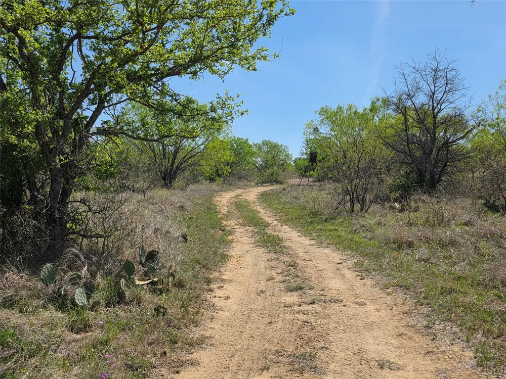 3925 County Road 216 San Saba, TX 76877