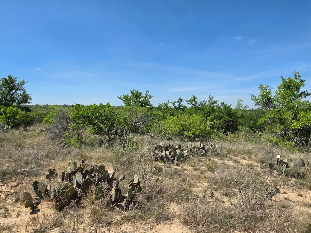 3925 County Road 216 San Saba, TX 76877