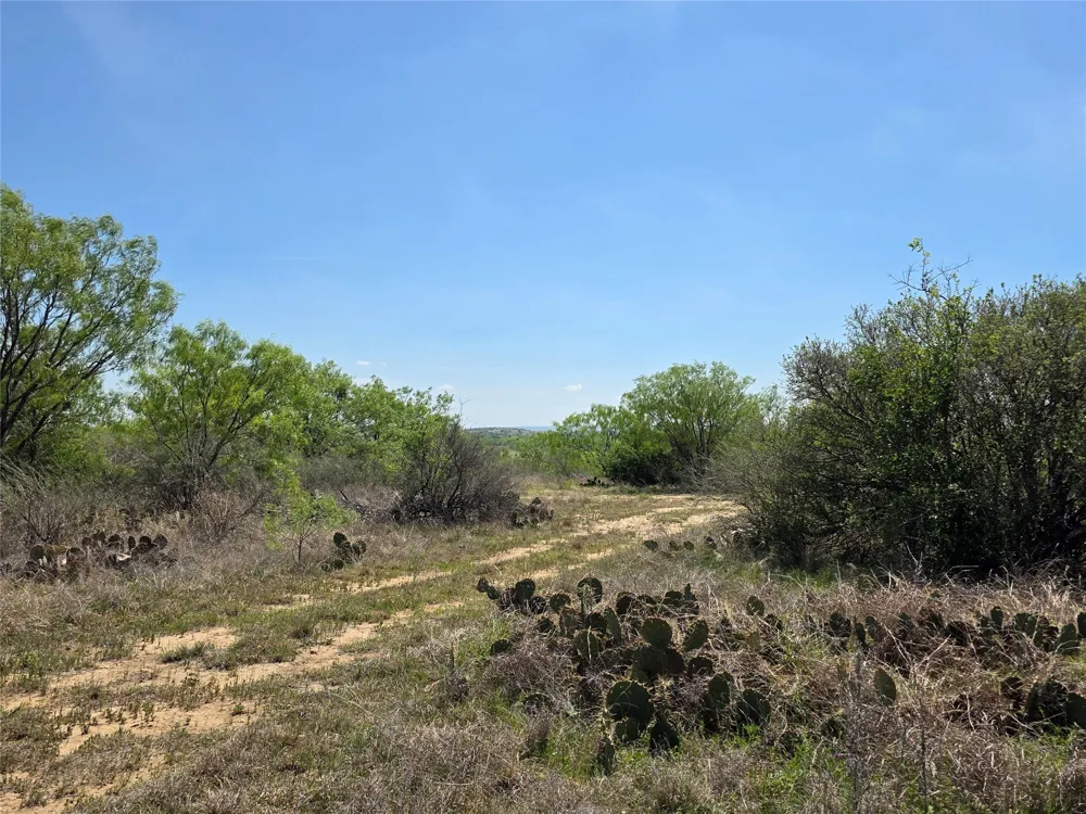 3925 County Road 216 San Saba, TX 76877