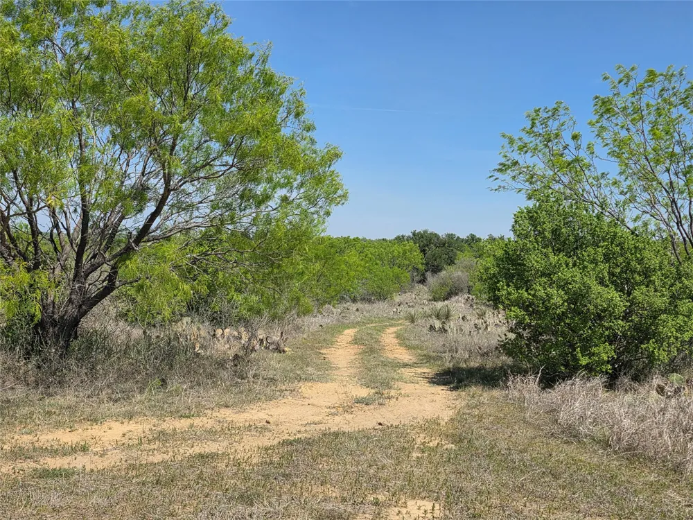 3925 County Road 216 San Saba, TX 76877