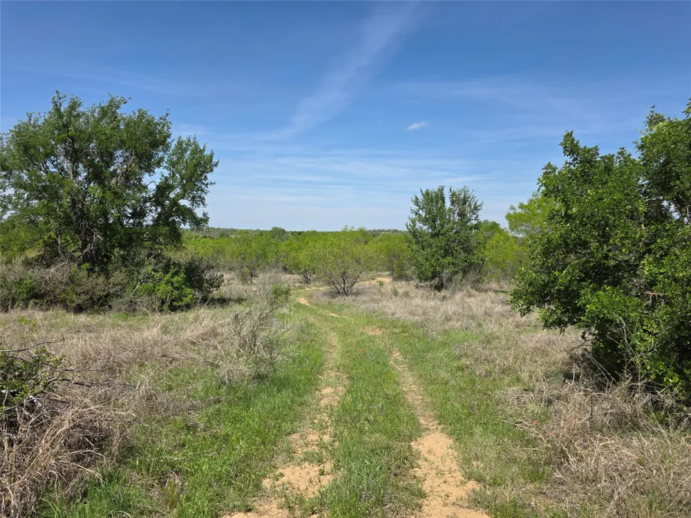 3925 County Road 216 San Saba, TX 76877