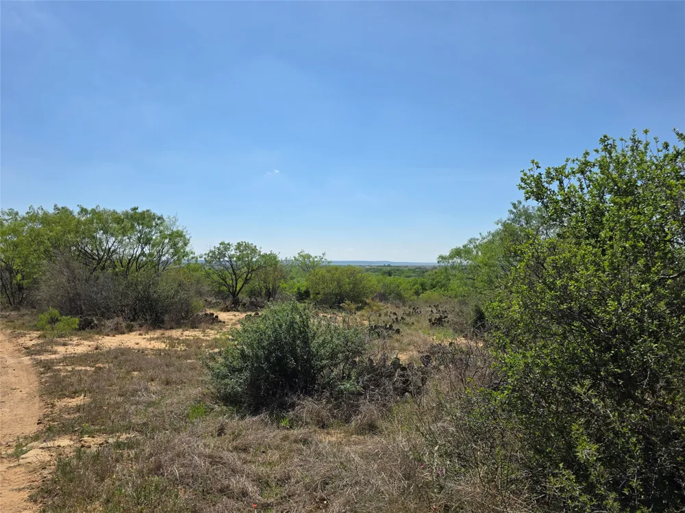 3925 County Road 216 San Saba, TX 76877