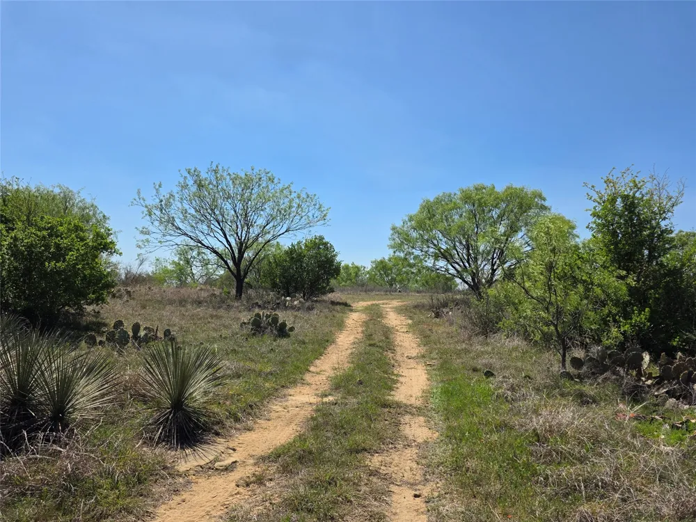 3925 County Road 216 San Saba, TX 76877