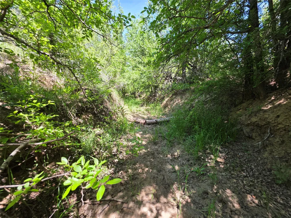 3925 County Road 216 San Saba, TX 76877
