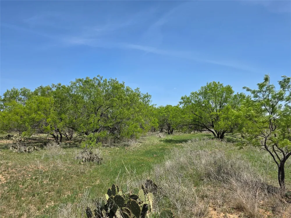 3925 County Road 216 San Saba, TX 76877