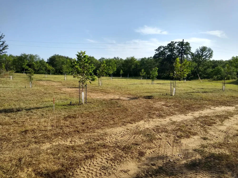 3925 County Road 216 San Saba, TX 76877