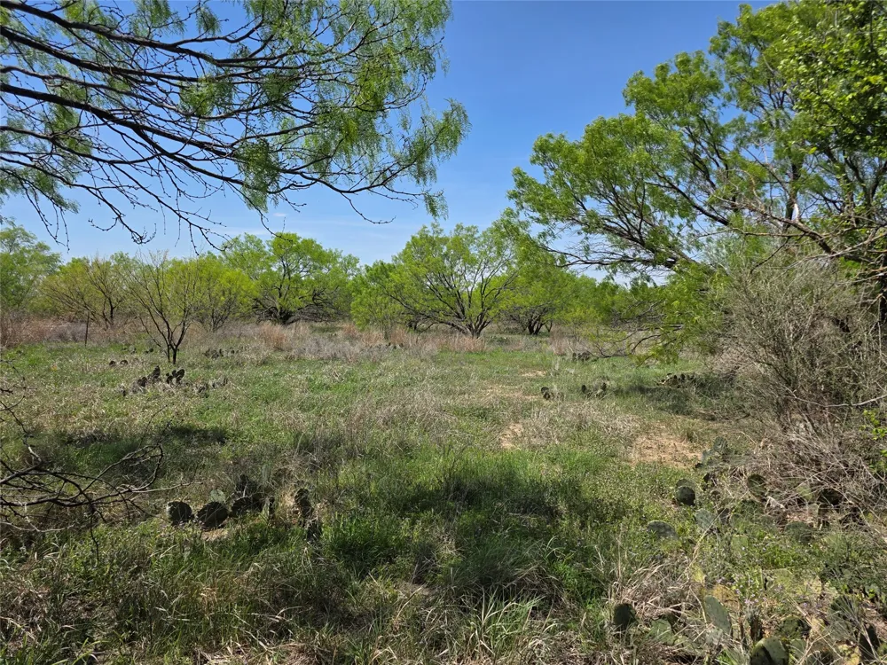 3925 County Road 216 San Saba, TX 76877