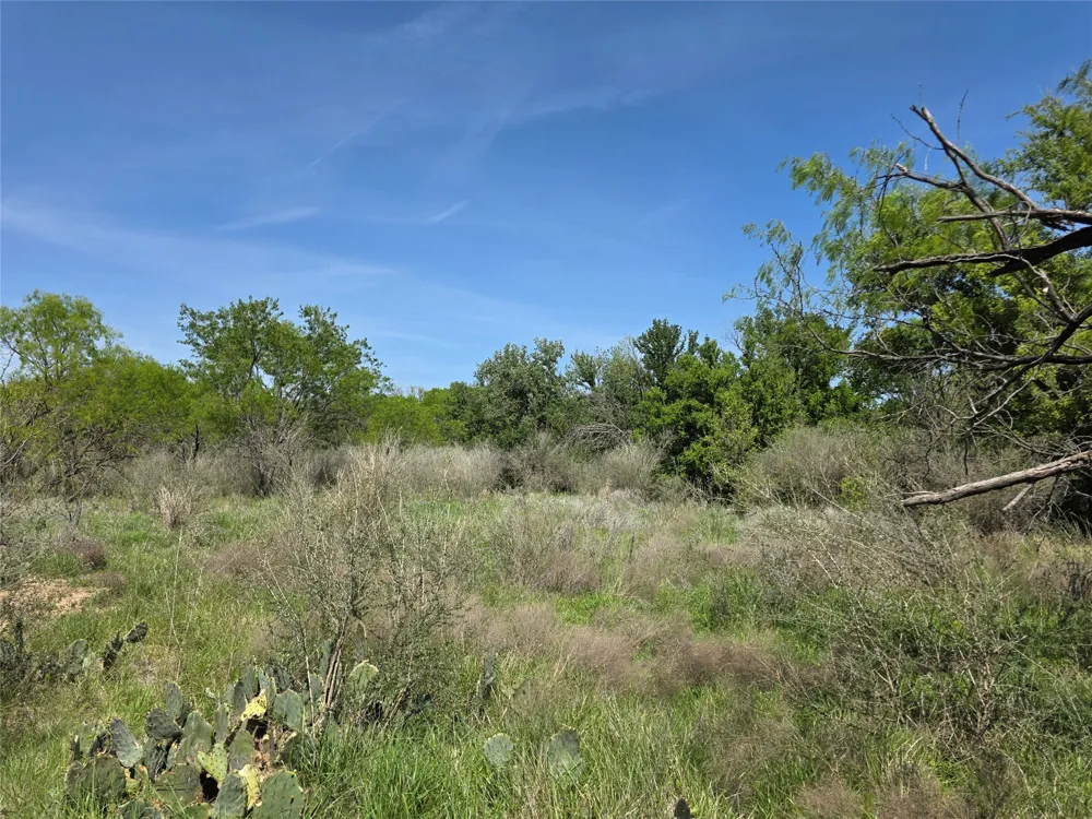 3925 County Road 216 San Saba, TX 76877