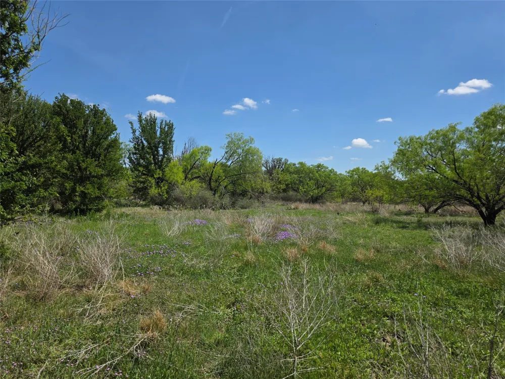 3925 County Road 216 San Saba, TX 76877