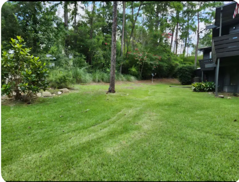 862 Lakeshore Drive Brookeland, TX 75931