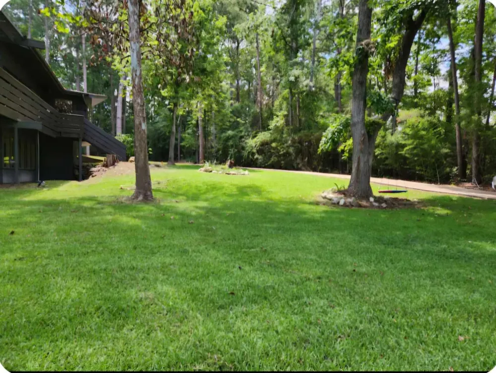 862 Lakeshore Drive Brookeland, TX 75931
