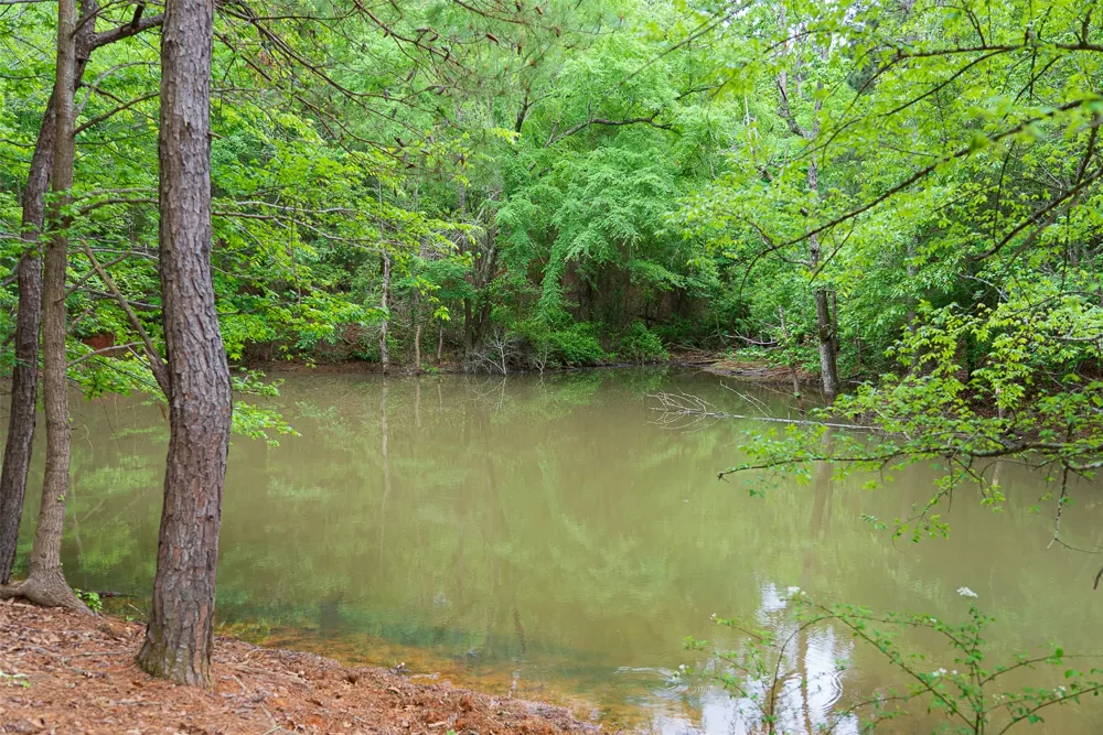 CR 1615 Jacksonville, TX 75766