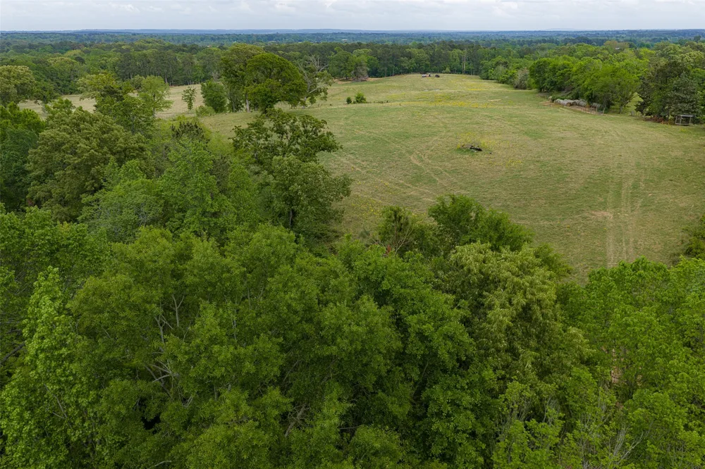 CR 1615 Jacksonville, TX 75766