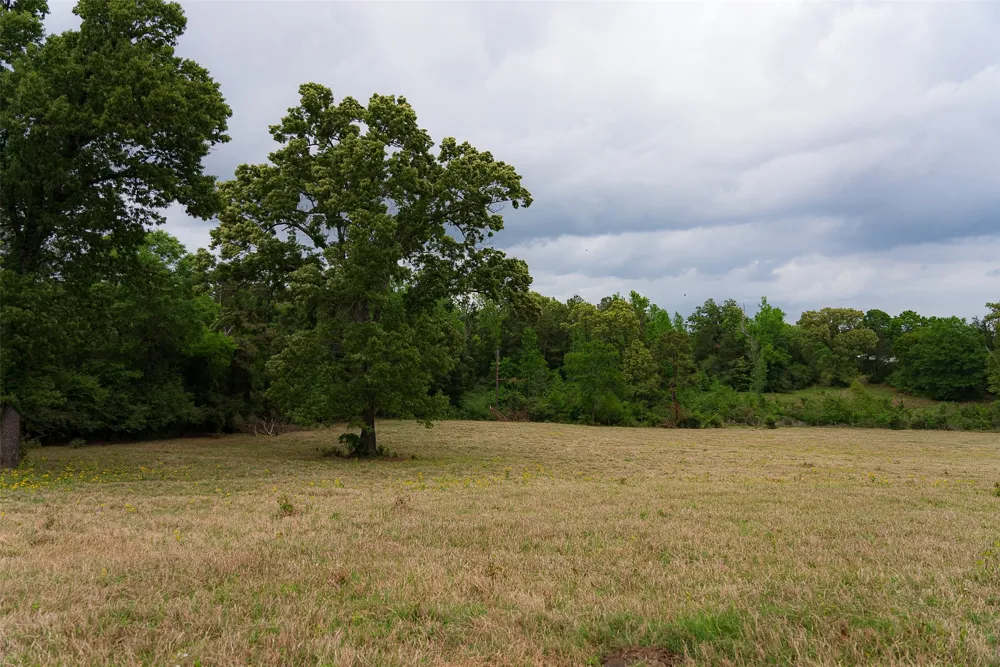 CR 1615 Jacksonville, TX 75766