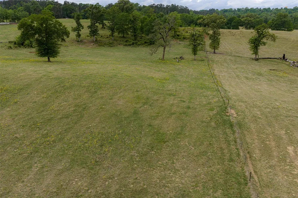 CR 1615 Jacksonville, TX 75766