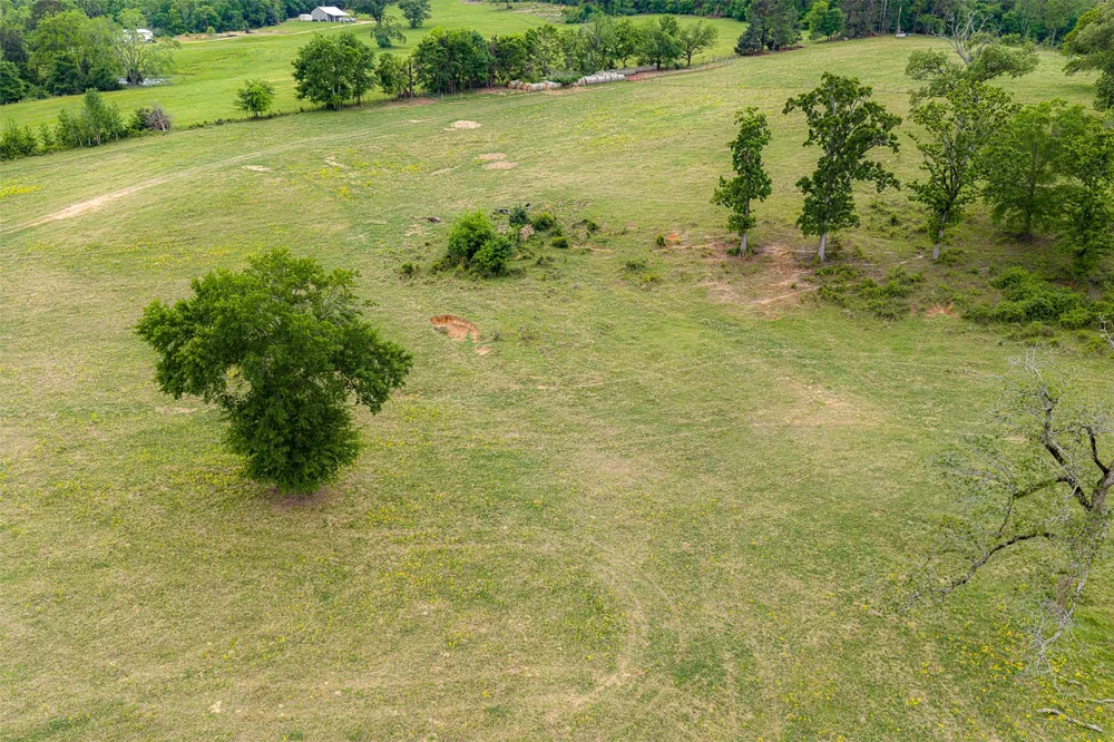 CR 1615 Jacksonville, TX 75766