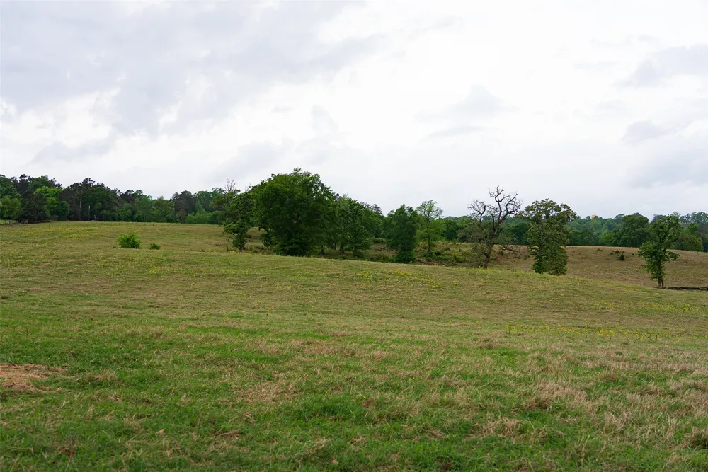CR 1615 Jacksonville, TX 75766