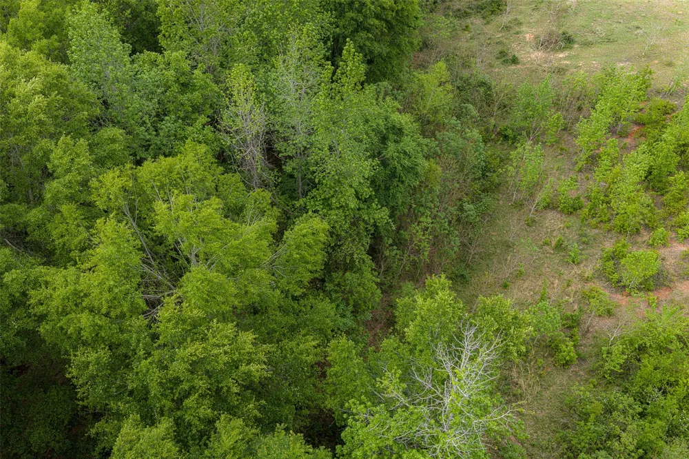 CR 1615 Jacksonville, TX 75766