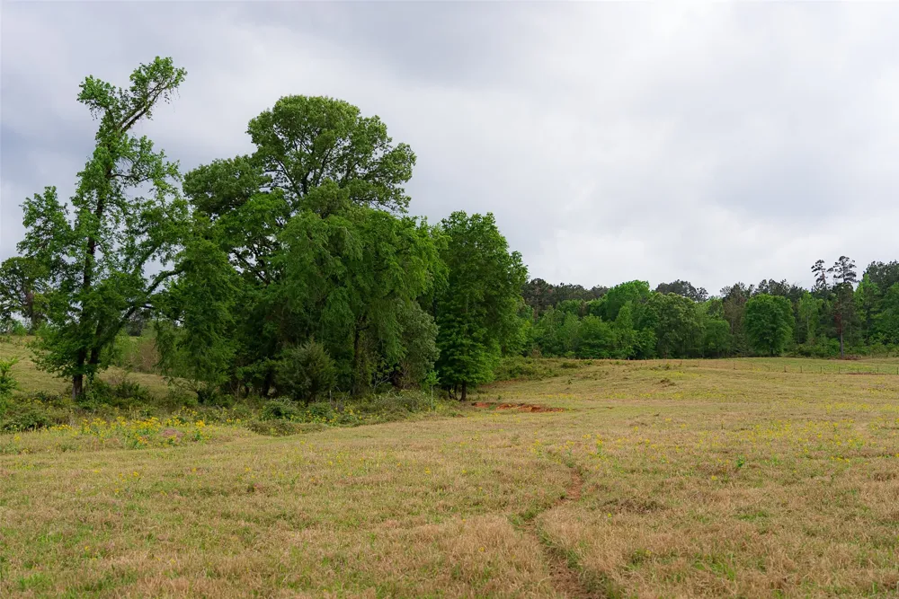 CR 1615 Jacksonville, TX 75766