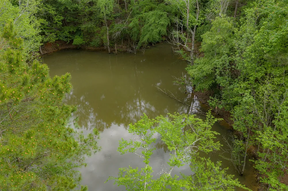 CR 1615 Jacksonville, TX 75766
