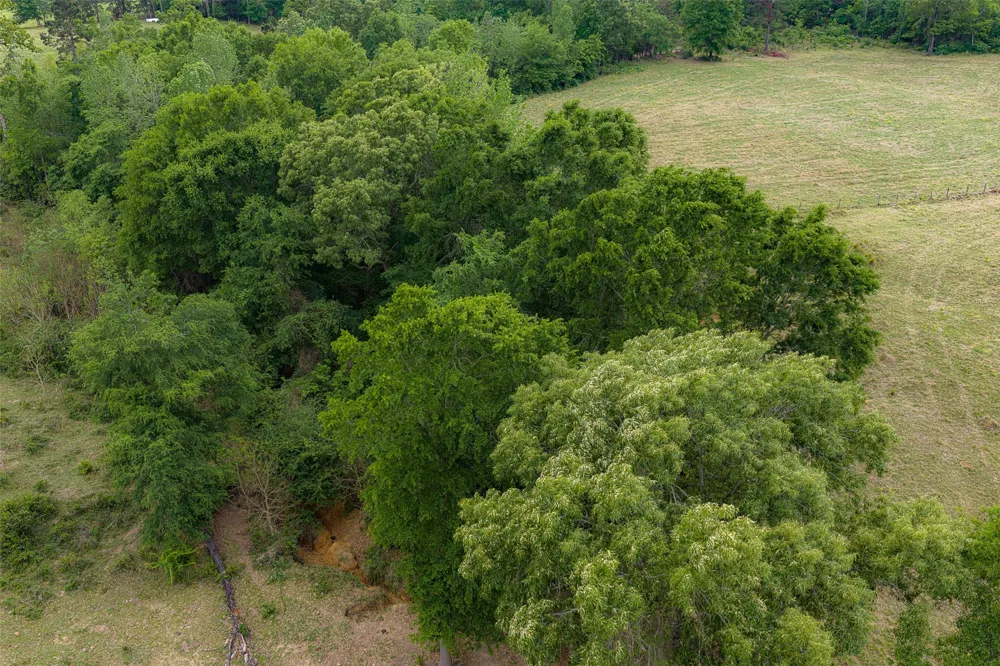 CR 1615 Jacksonville, TX 75766