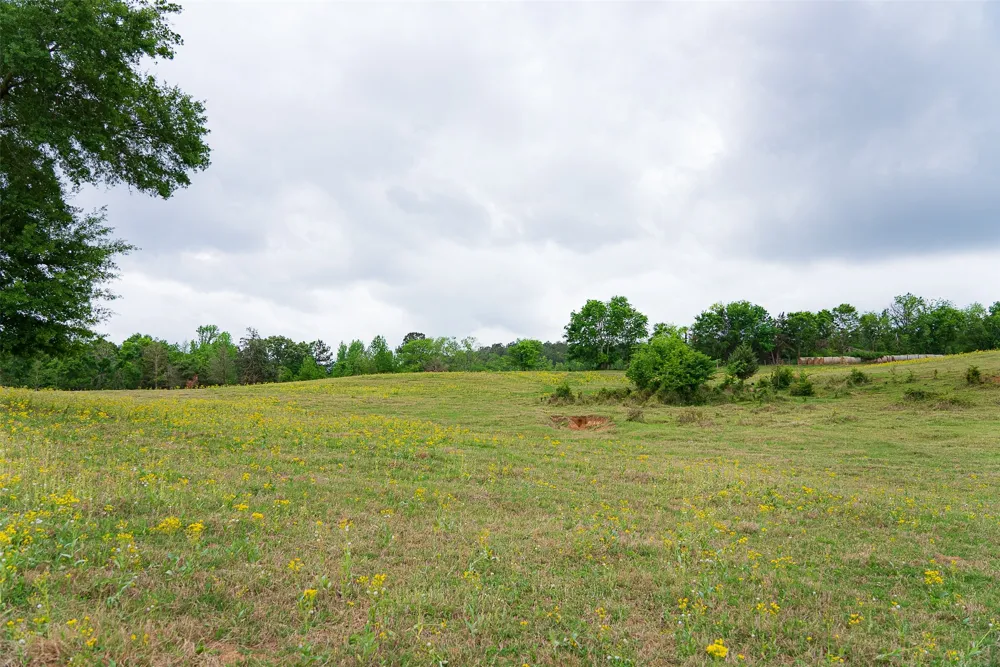 CR 1615 Jacksonville, TX 75766