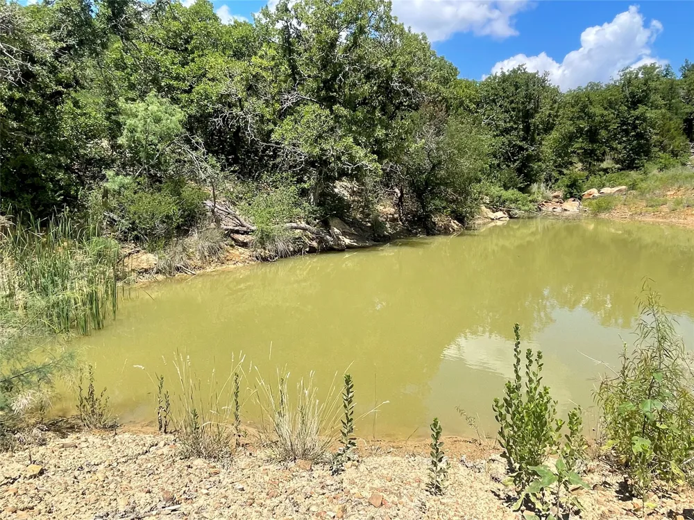 Lower Tonk Valley Road Graham, TX 76450