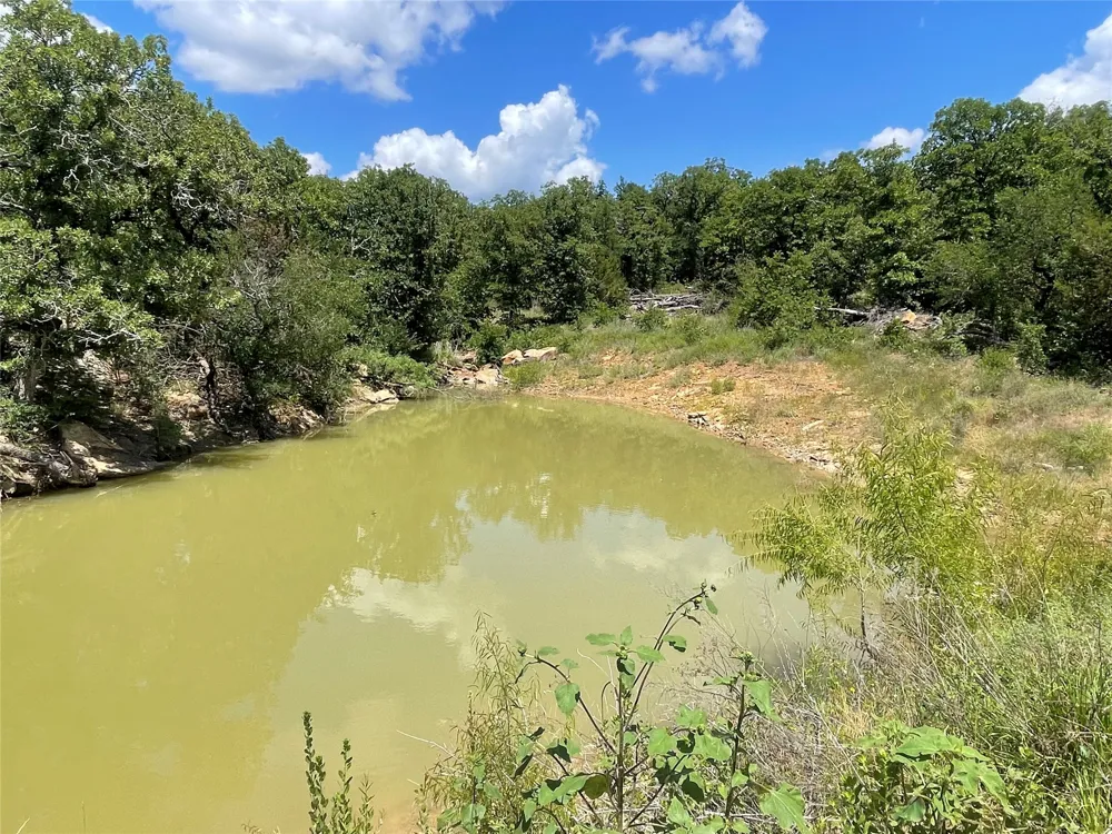 Lower Tonk Valley Road Graham, TX 76450
