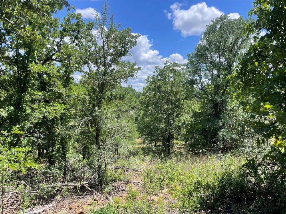 Lower Tonk Valley Road Graham, TX 76450