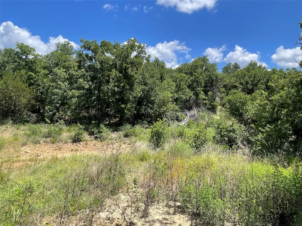 Lower Tonk Valley Road Graham, TX 76450