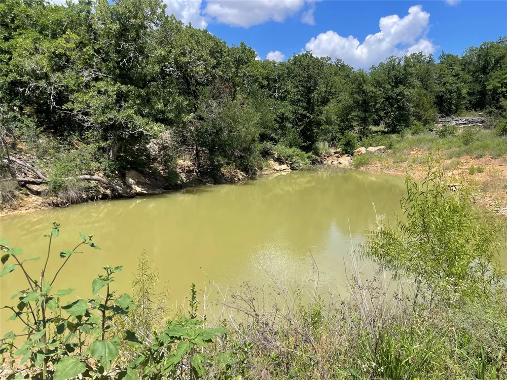 Lower Tonk Valley Road Graham, TX 76450