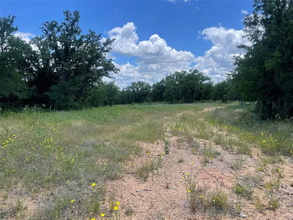 Lower Tonk Valley Road Graham, TX 76450