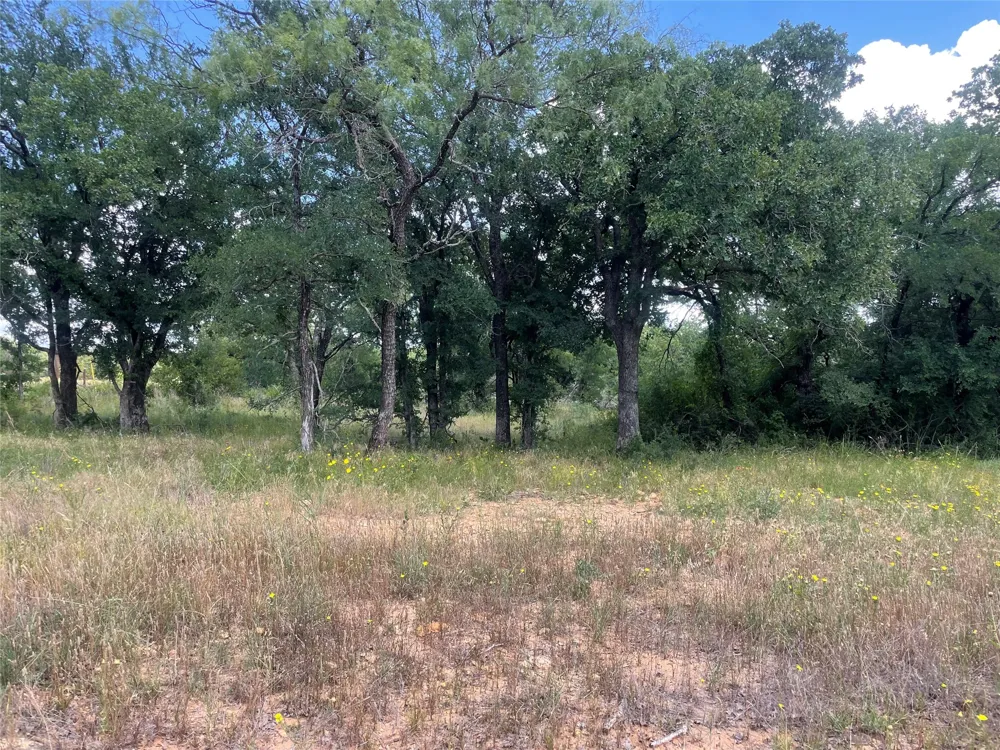 Lower Tonk Valley Road Graham, TX 76450