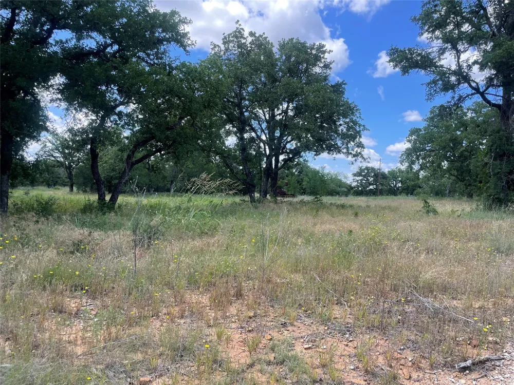 Lower Tonk Valley Road Graham, TX 76450