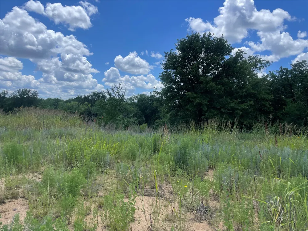 Lower Tonk Valley Road Graham, TX 76450