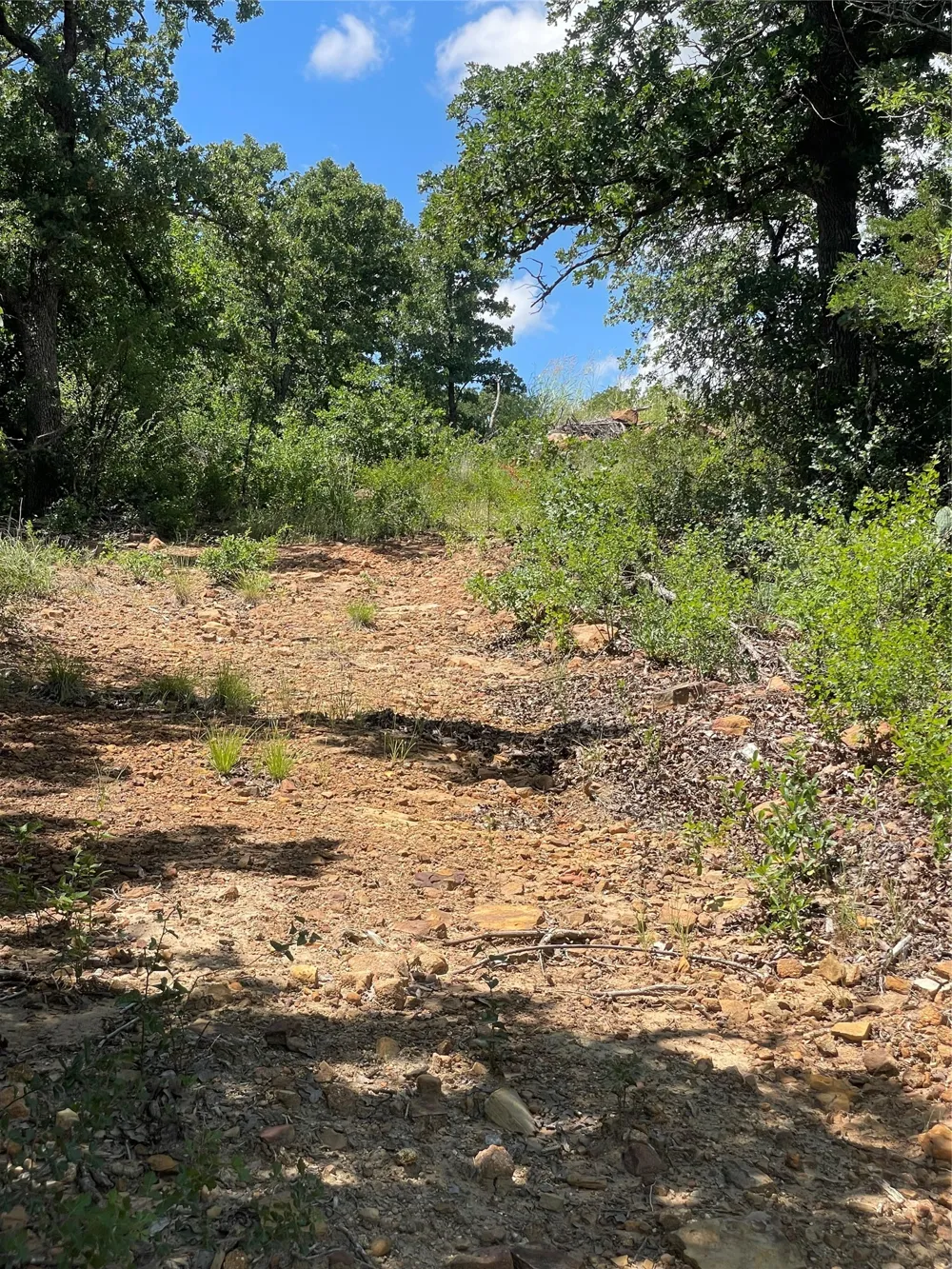 Lower Tonk Valley Road Graham, TX 76450