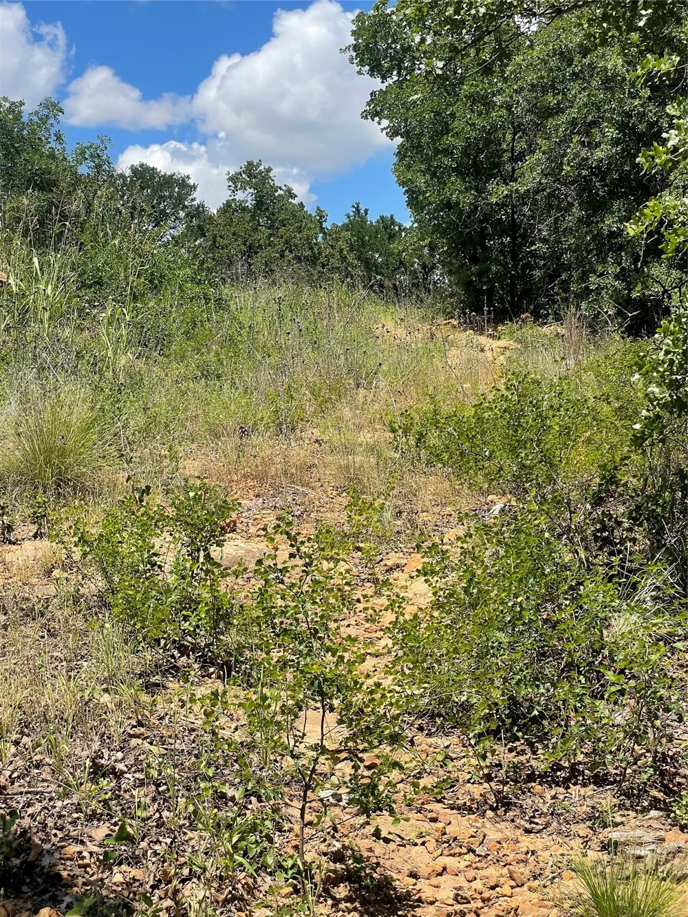 Lower Tonk Valley Road Graham, TX 76450